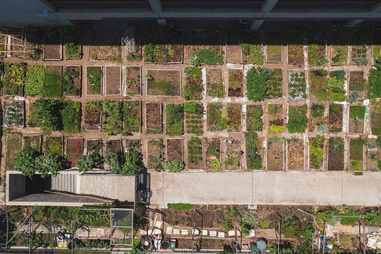Urban and Community Farming