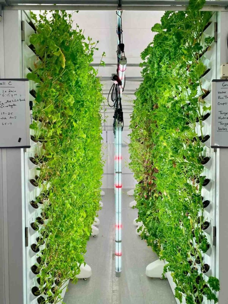 Vertical Farming