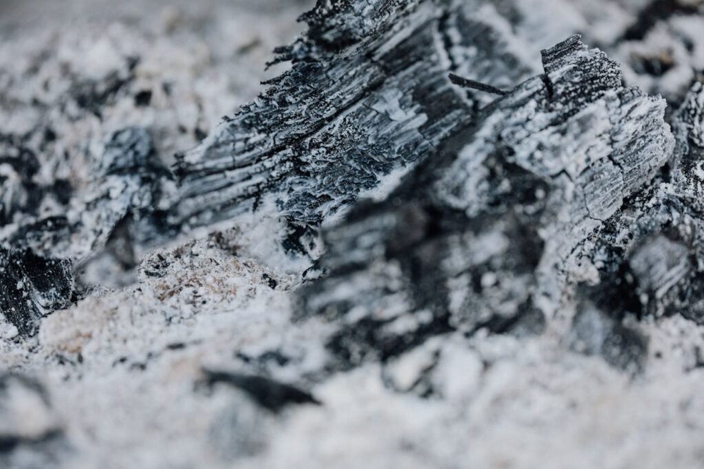 Is Wood Ash Good for Plants