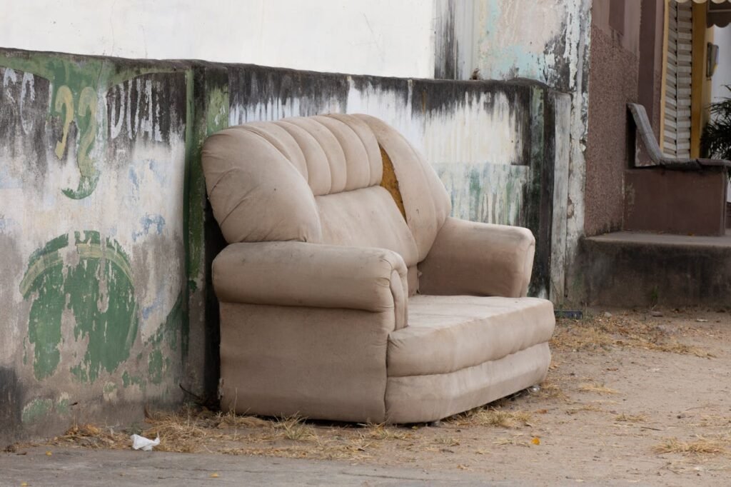 How to Choose and Prepare the Best Option for your Sofa