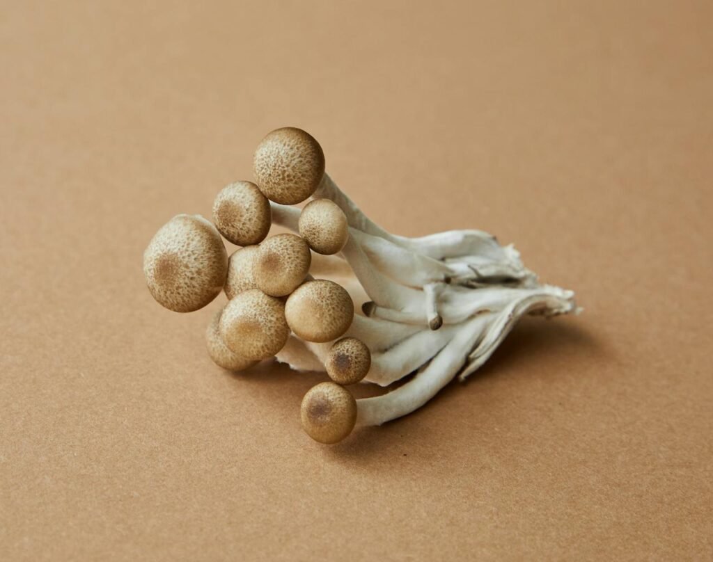 Is Mushroom Vegetarian or Non-vegetarian