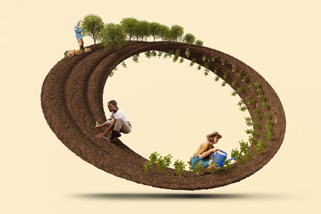 Climate Change Adaptation Strategies in Agriculture