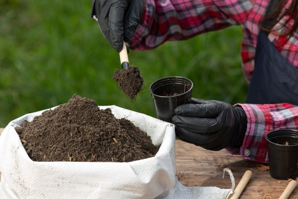 Cow vs Sheep vs Pig vs Poultry Manure