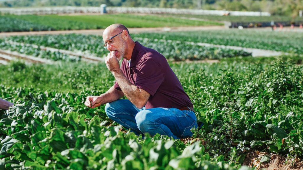 Growing Your Own Food
