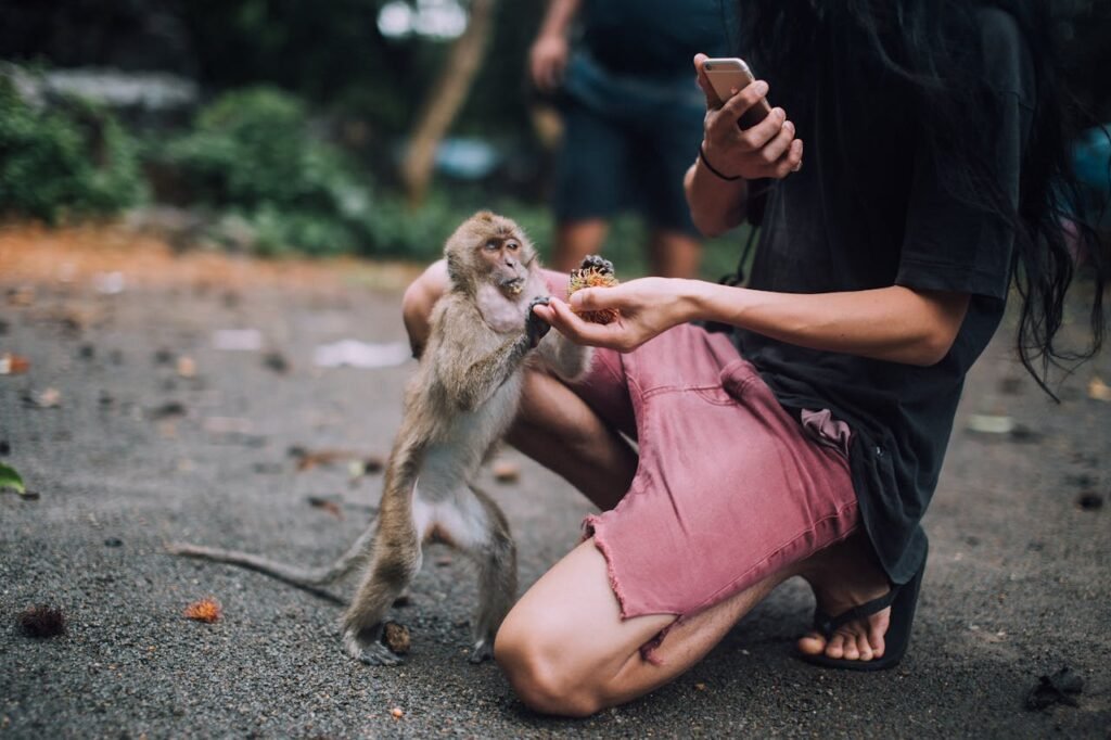Do Conservation Trips Help or Harm Wildlife