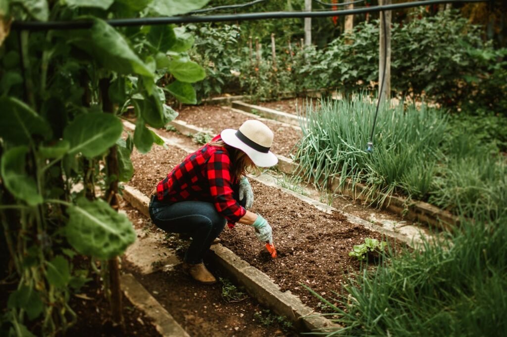 Permaculture Definition, Principles & Examples