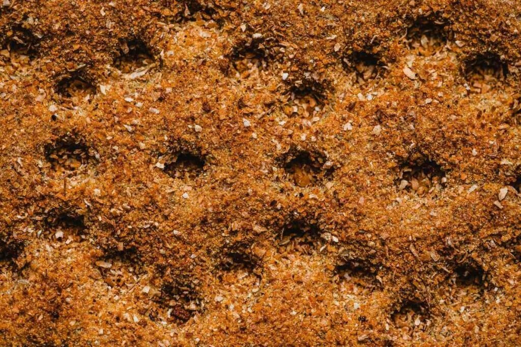 Soil Microplastics Pollution Harm Microorganisms and Disrupt Soil Health