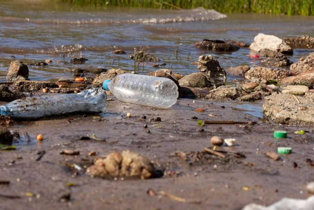 Causes of Water Pollution and Prevention Solutions