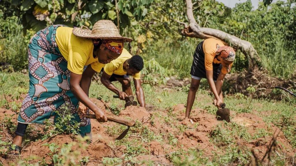 Meet local farmer Amina in Senegal’s Fatick