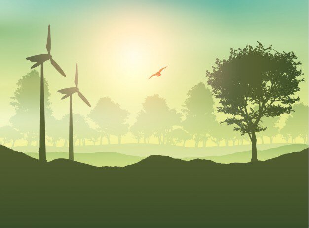 Renewable Energy and Biodiversity
