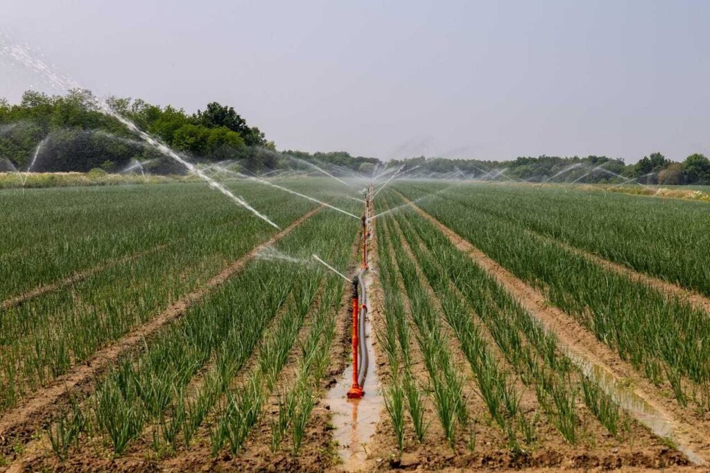 Satellite-Supported Water Efficiency in Modern Farming