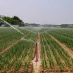 Satellite-Supported Water Efficiency in Modern Farming
