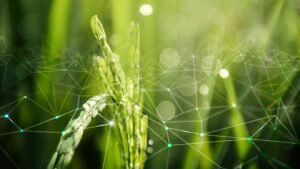 Smarter Crops: How AI Is Supercharging Plant Immunity