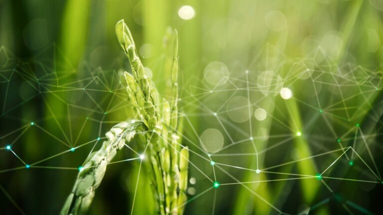 Smarter Crops: How AI Is Supercharging Plant Immunity