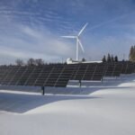 Why Clean Energy Is Biodiversity’s Best Ally