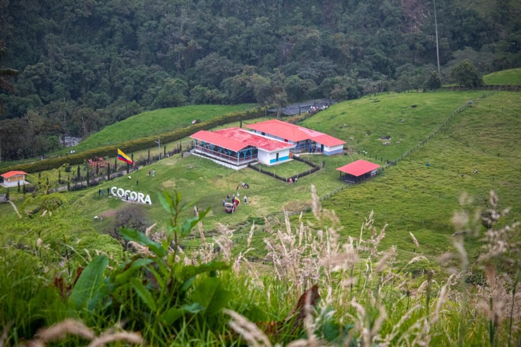 Farm Stays