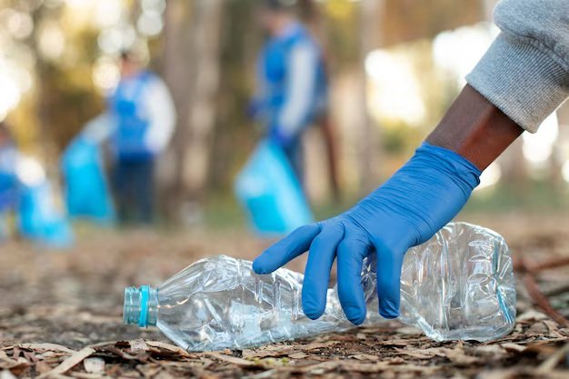 How the Recycling Sector Reacted