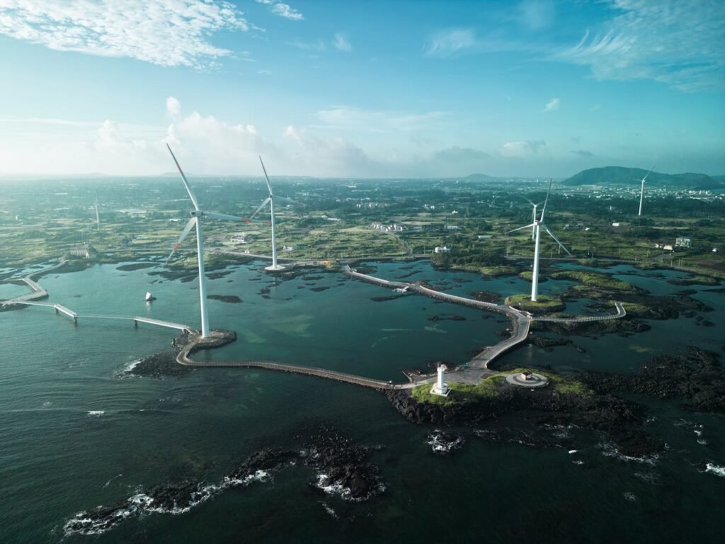 Offshore Seaweed Farming