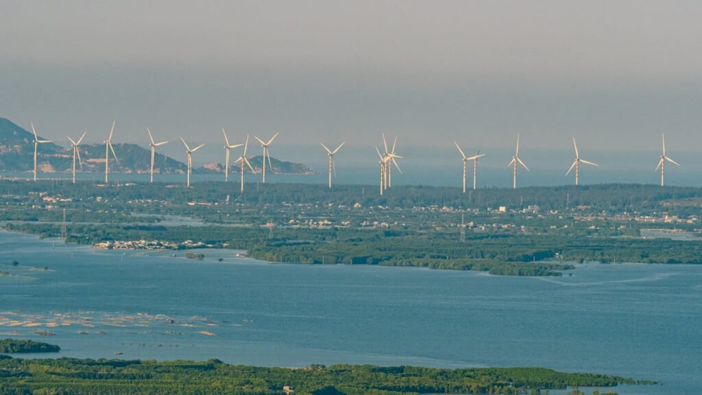 Offshore Wind Could Host Large-Scale Seaweed Farms and Capture Carbon Fast