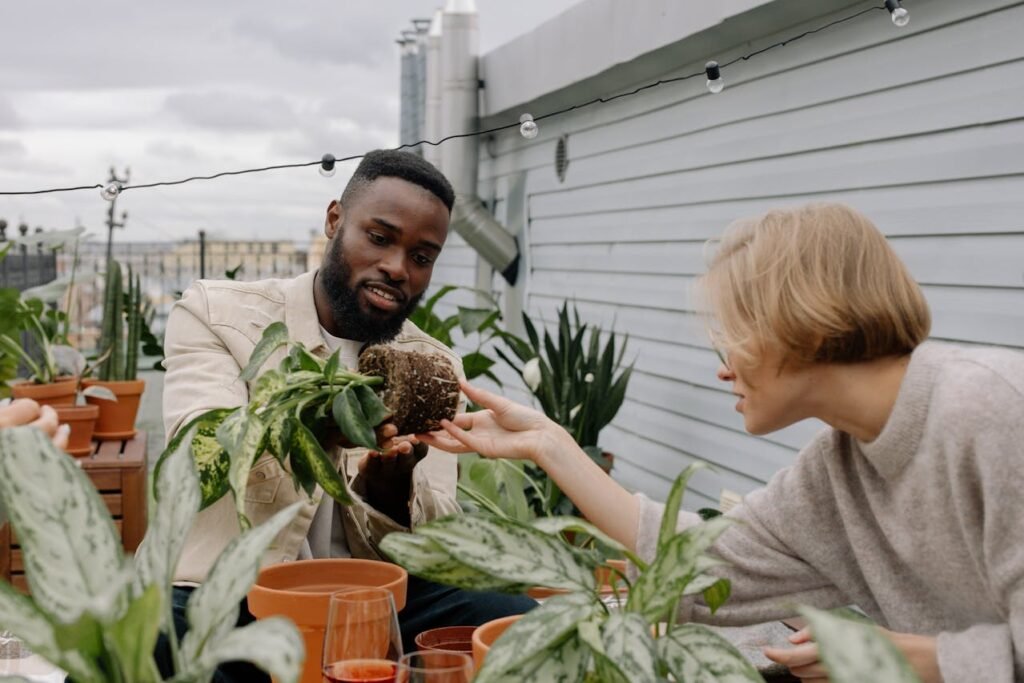 Practical Advice to Begin Your Own Rooftop Garden