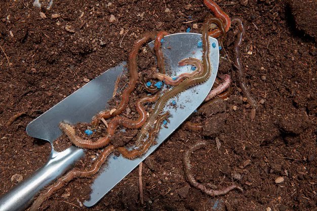 Winemakers Urged to Save Earthworms