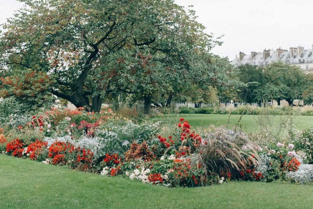 Meriden Turns Vacant Municipal Lots Into Pocket Gardens to Boost Biodiversity and Community Food Access