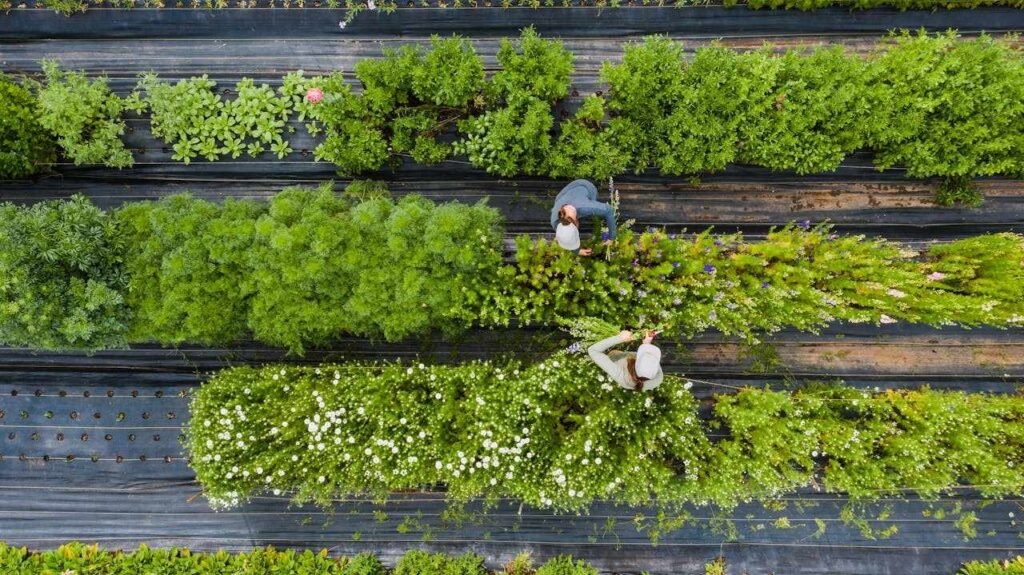 Rooftop Farmer Training Program Scales in Toronto Giving Young People a Route into Sustainable Food Jobs