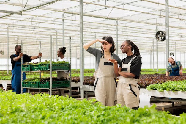 Rooftop Farmer Training Program Scales in Toronto Giving Young People a Route into Sustainable Food Jobs