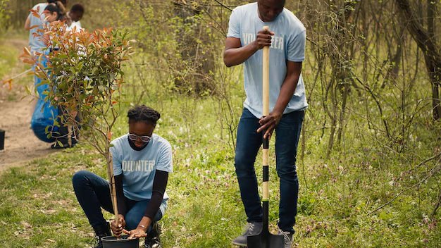 college conservancy partnership for forest sustainability