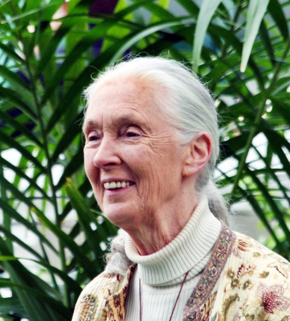 Jane Goodall - A Life That Rewrote Our Relationship with Nature