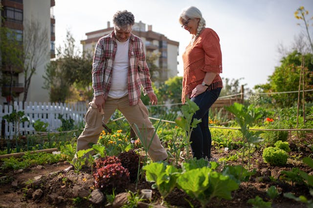 Companion Planting