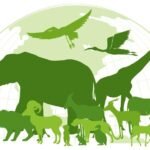 Endangered Animals That Help the Environment