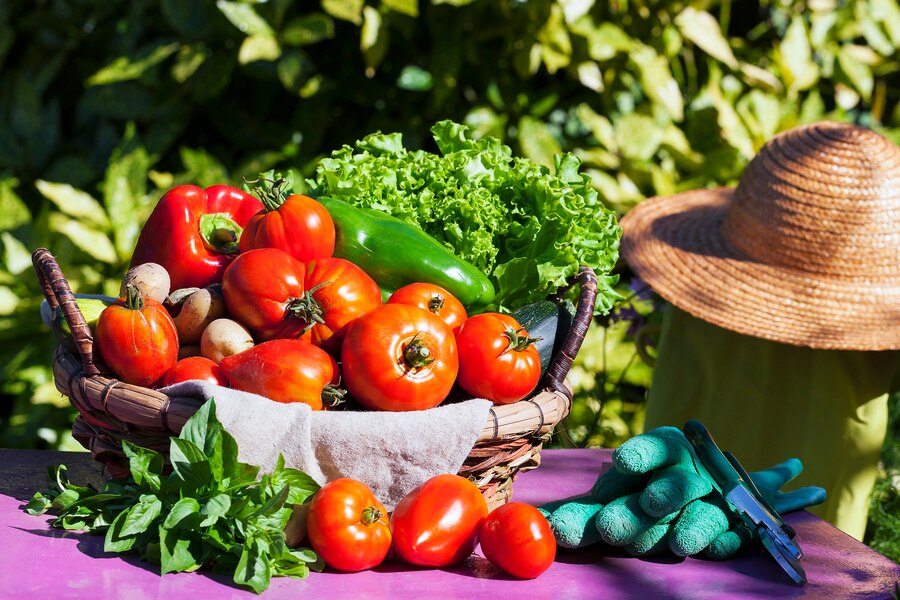 Fresh Produce from garden