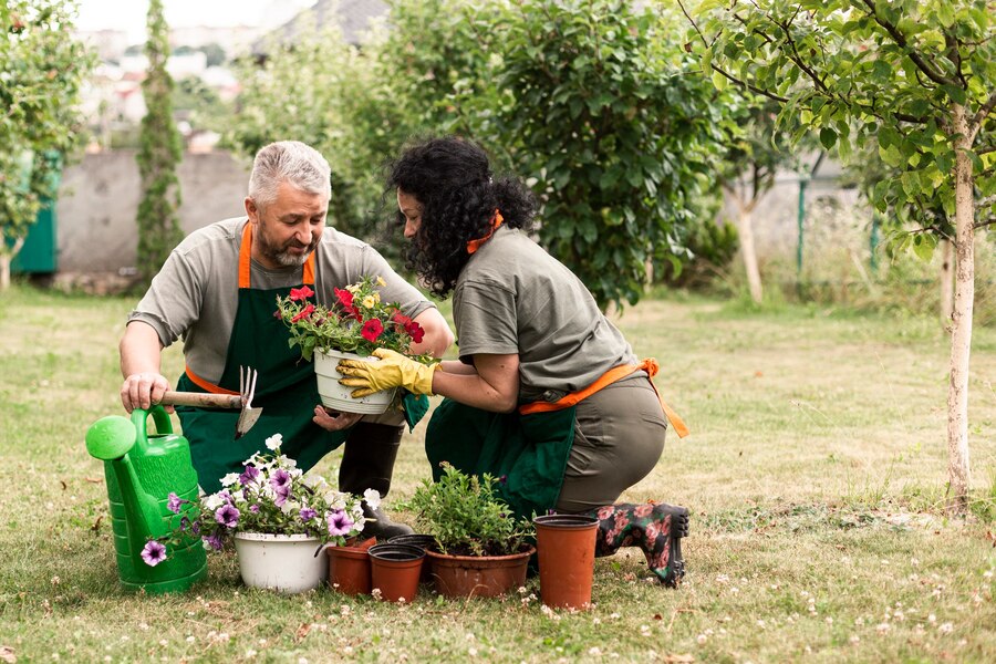 Gardening as a Therapeutic Tool