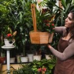 Outdoor Plants That Are Good for the Environment
