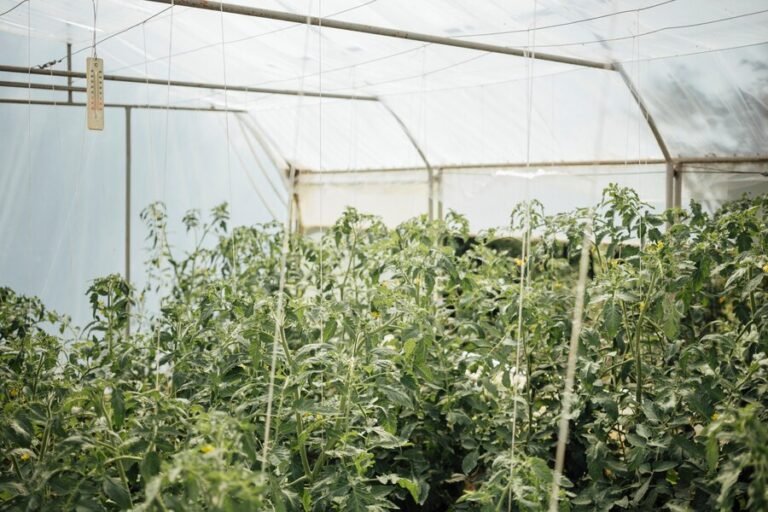15 Best Eco-Friendly Insect Control Methods Backed by Studies | What is ...
