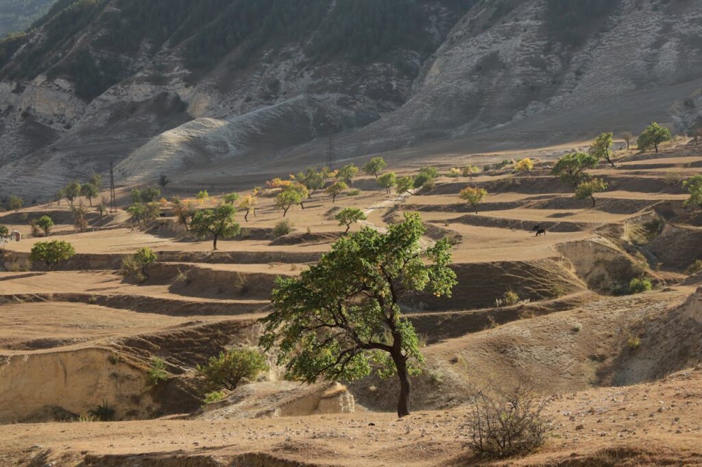 Soil Erosion