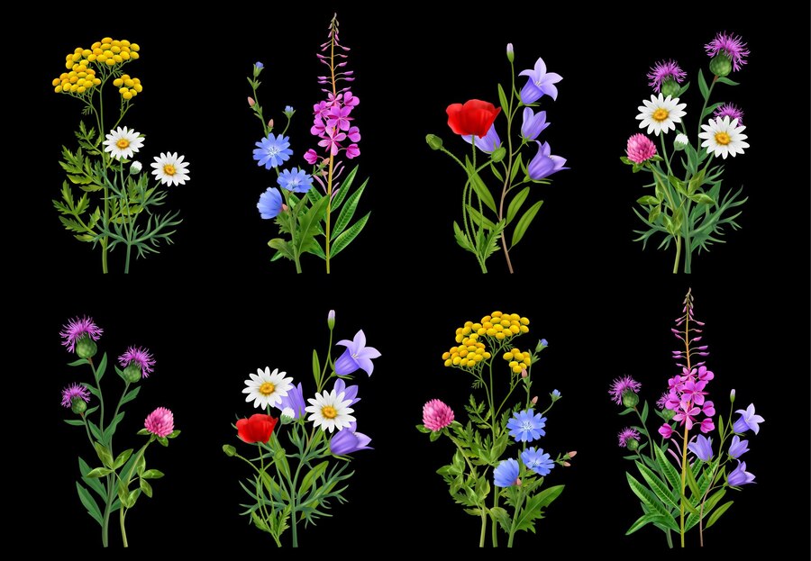 Benefits of Wildflower Gardens