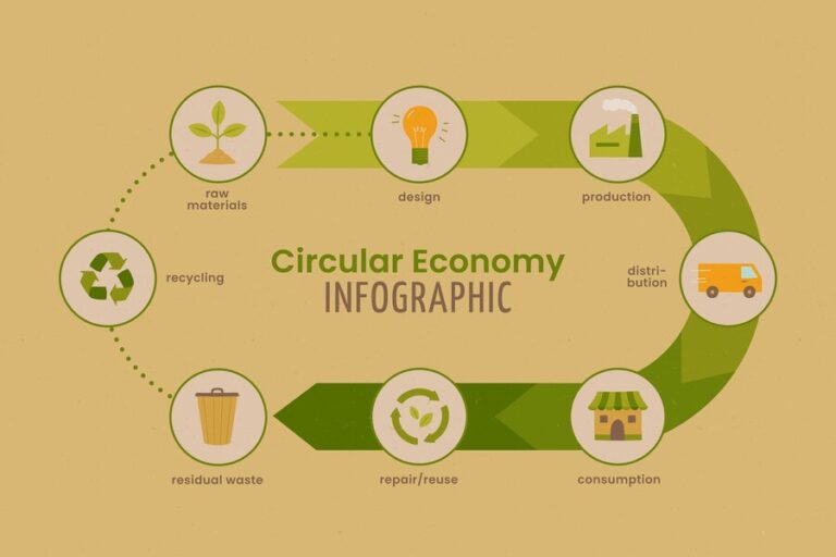 Recycling vs. Upcycling: Circular Economy Inforgraphy