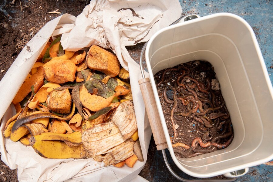 Compost Bins and Compostable Bags