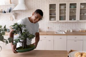 How to Make Your Home More Sustainable