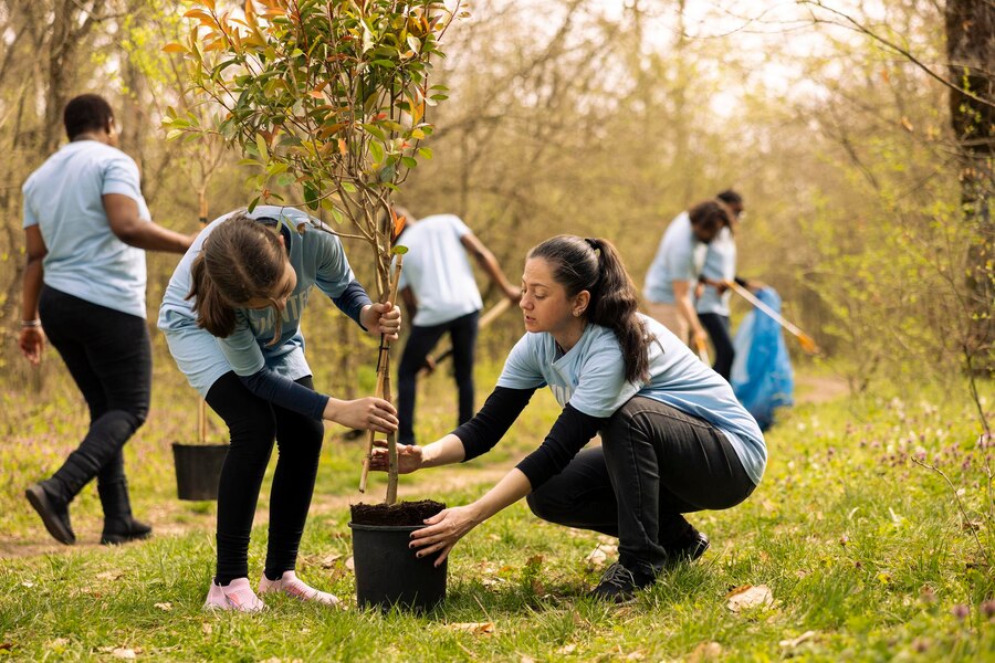 Plant a Tree