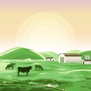 Sustainable Ranching Practices