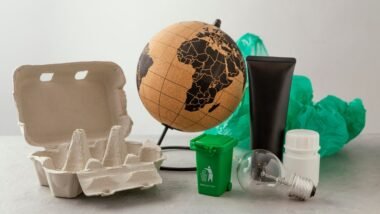 20 Examples of Biodegradable and Non-Biodegradable Waste | What is ...