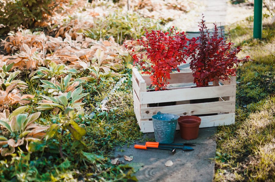 Garden Wooden pallets