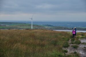 Operating Wind Farms, Clear-Cutting, Flood Irrigation or Over Fishing