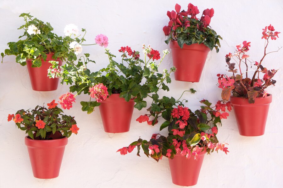 Plastic containers as planters