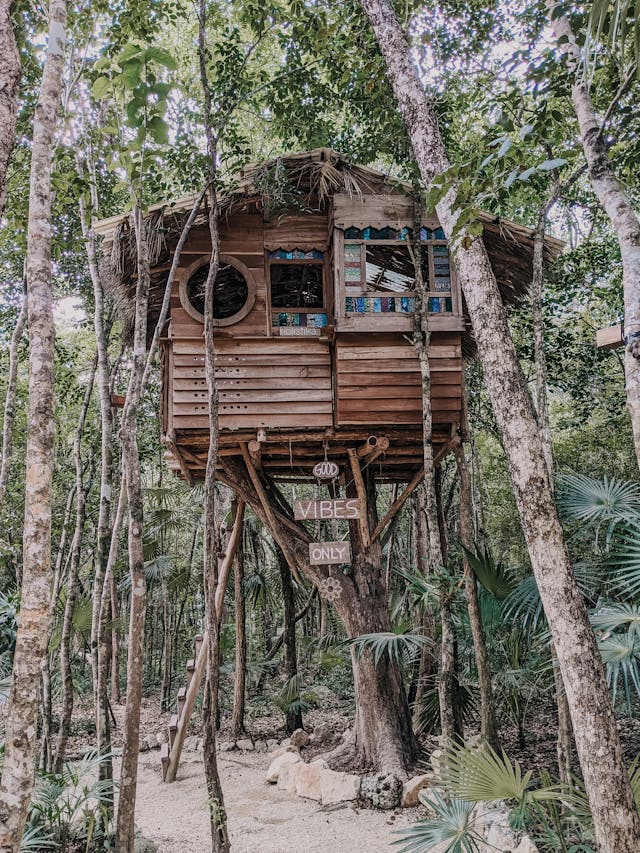 Tree House