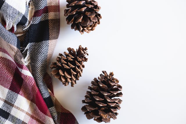 Waxed Pinecone Fire Starter