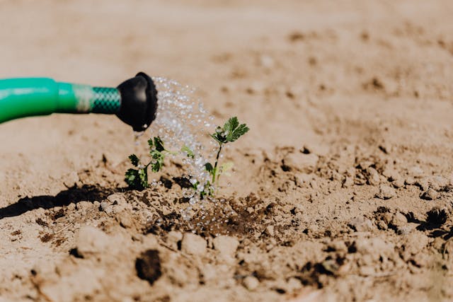 water management in agriculture